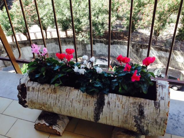 Chiavi Antiche B&B Salerno Bilik gambar